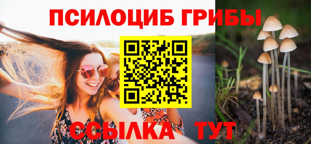 Галлюциногенные грибы Magic Shrooms Грозный