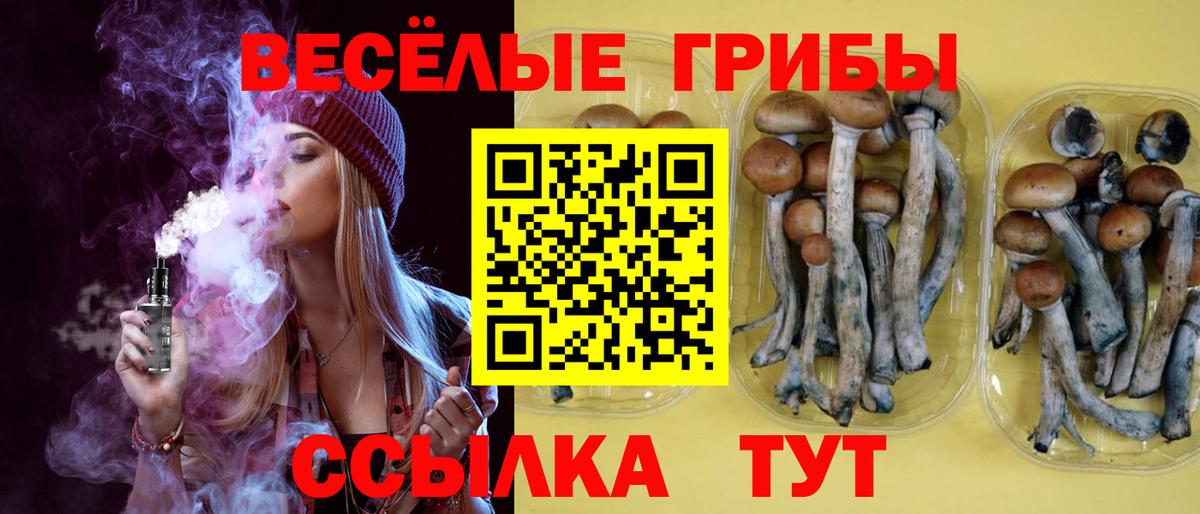 Галлюциногенные грибы прущие грибы  Псилоцибиновые грибы Psilocybe  Грозный  Вход с VPN 